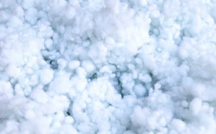  Whatever you need to Find out about Polyester Staple Fiber